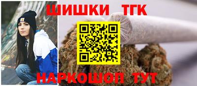 дмт Новодвинск