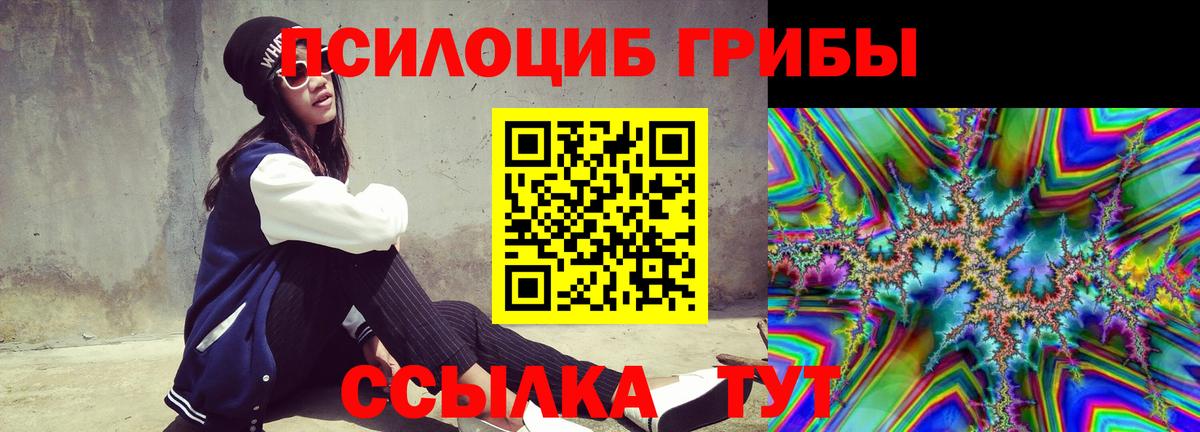 купить наркотик  Вход с VPN  Сегежа  Галлюциногенные грибы мицелий 