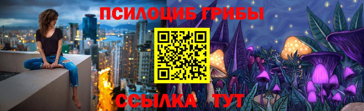 Псилоцибиновые грибы GOLDEN TEACHER Сегежа